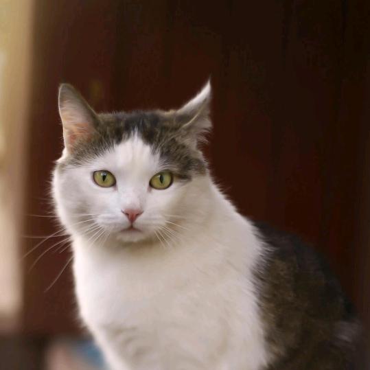 ((づ｡◕‿陳仟上萬‿◕｡)づ