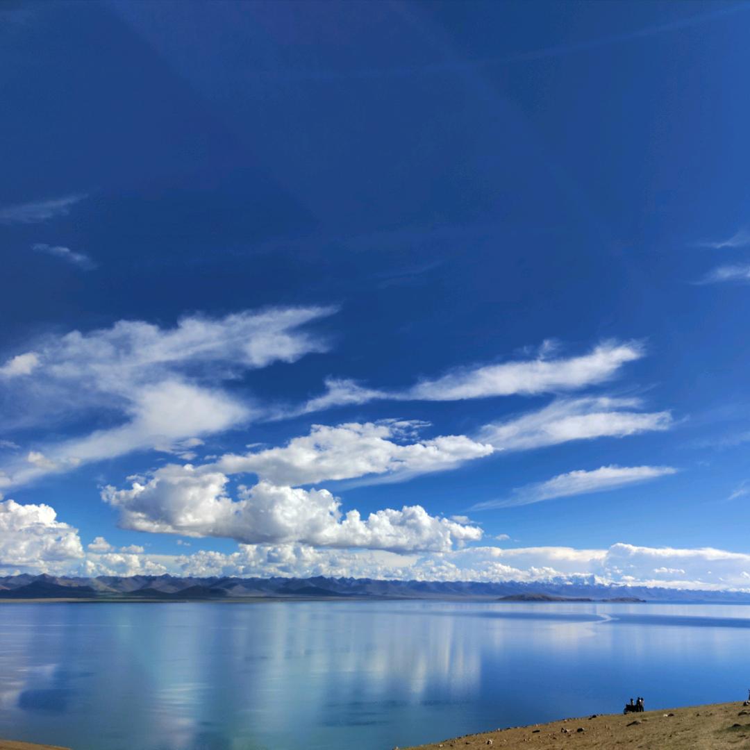 花花世界一过客