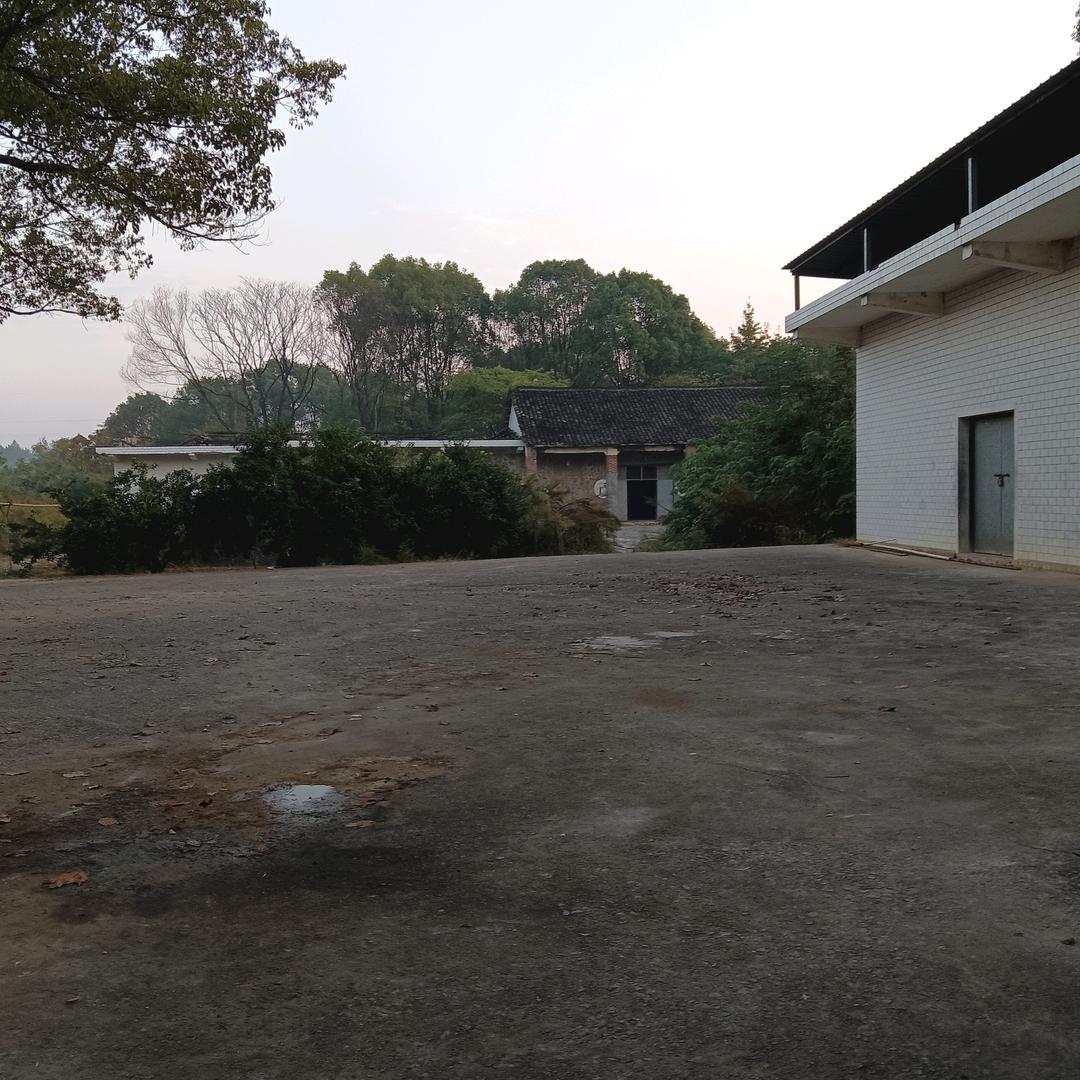 家和萬事兴