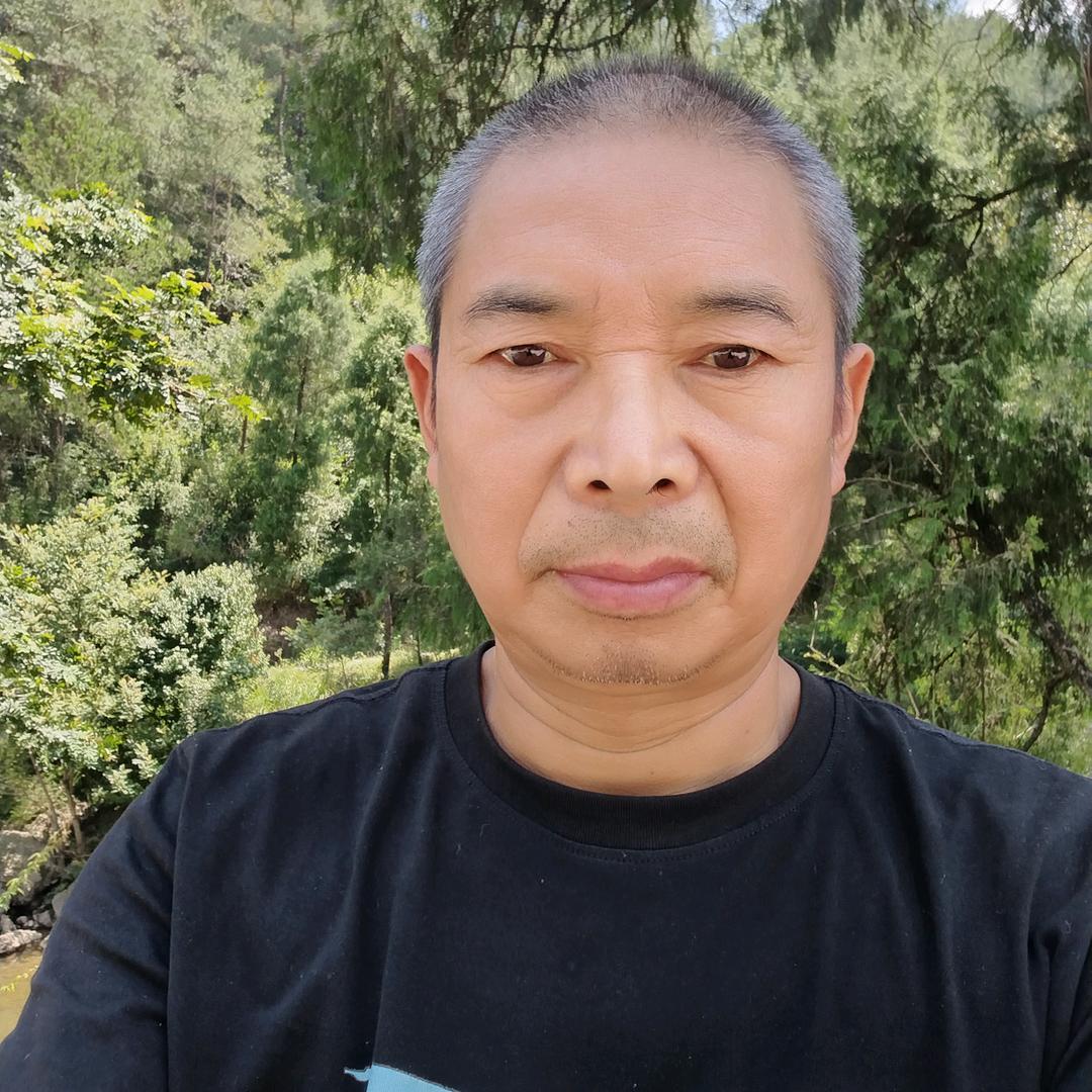 竹林深处有画眉