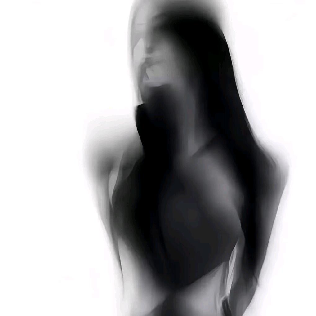 小芹菜（努力版）