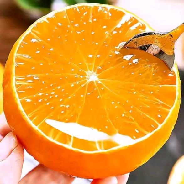 果果爱生活