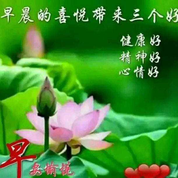🌹🌹🍎🍎我真的认识你💖🌸🌺