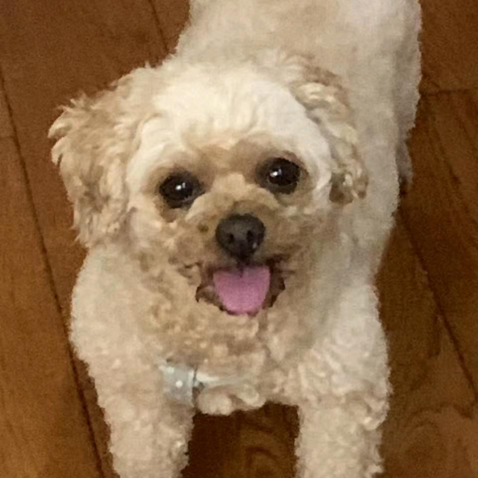 噜啦啦噜啦啦噜啦噜啦累