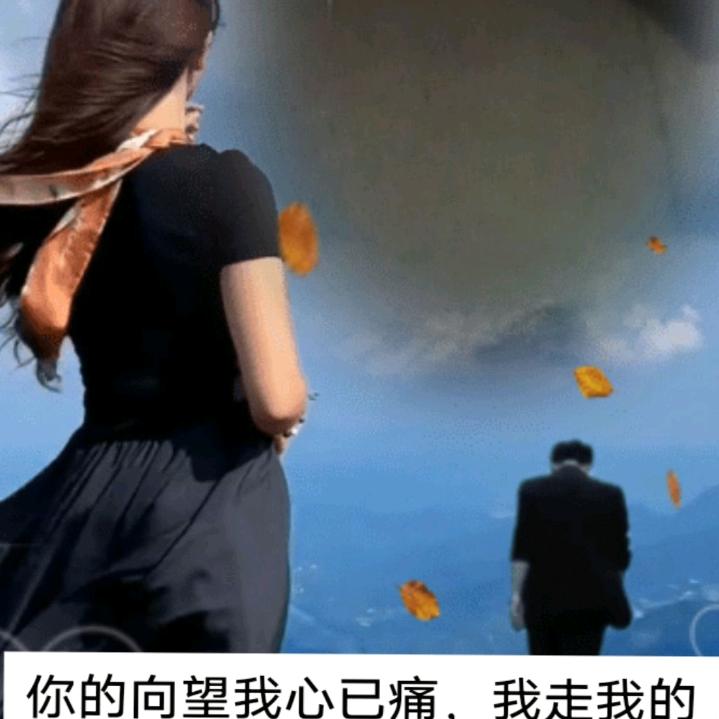 社会乡村网