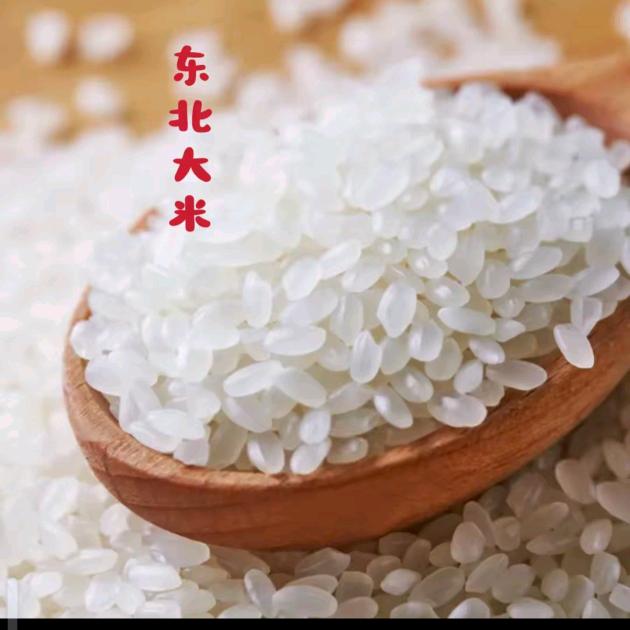 乐乐好大米
