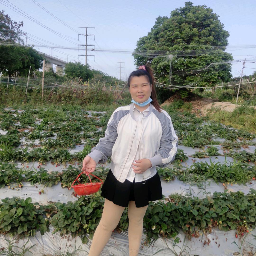 朱朱