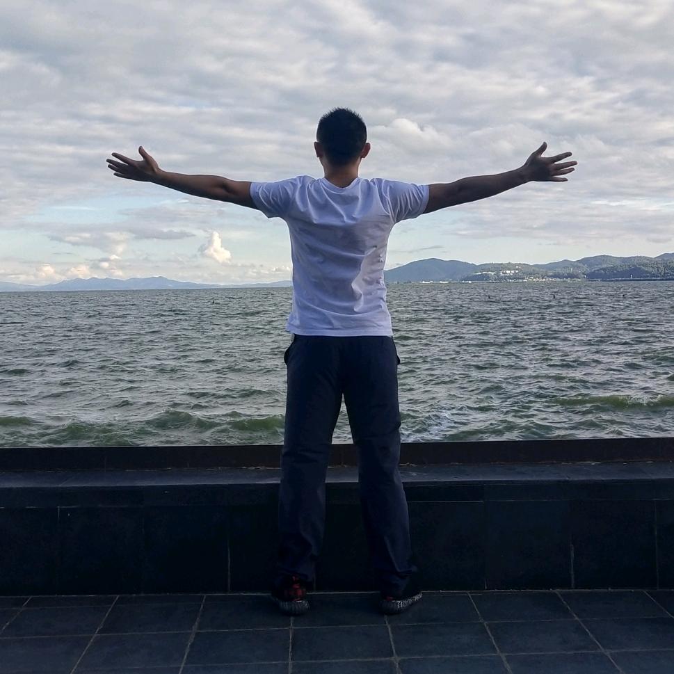 十年上升陆