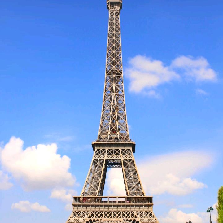 飞哥国粹