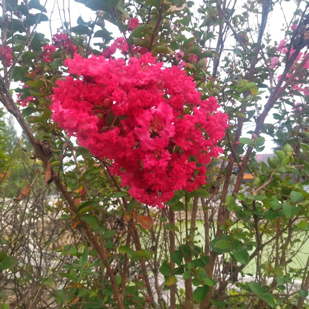 ❤️霚谁董我❤