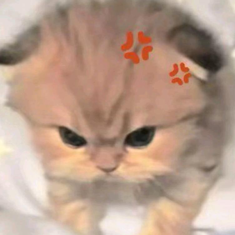 灿灿