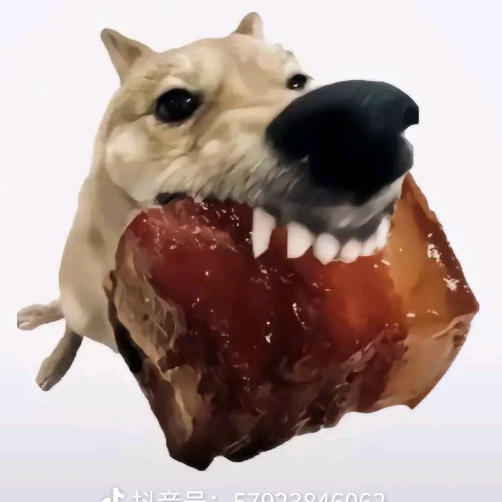 凌晨5点