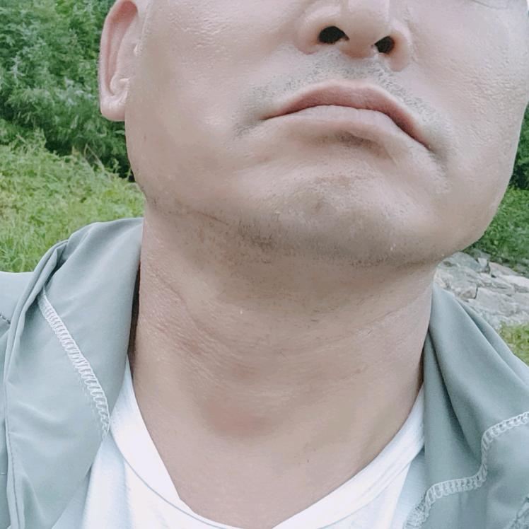拼搏鸽