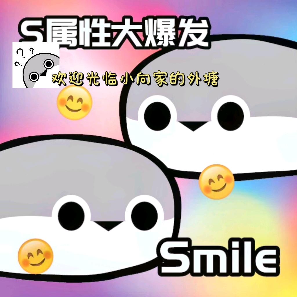 Turtle_xiaoxiang