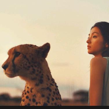 不要看眼睛里的郁金香