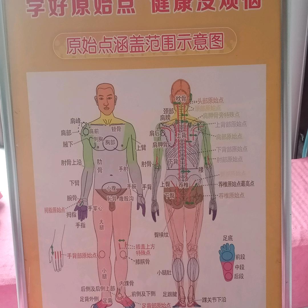 艳佳