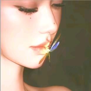 落🍂