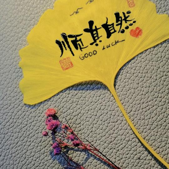 顺其自然