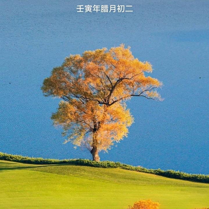 蔡允辉