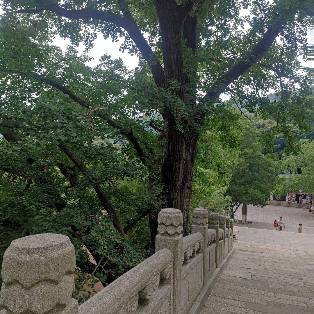 平安，平凡