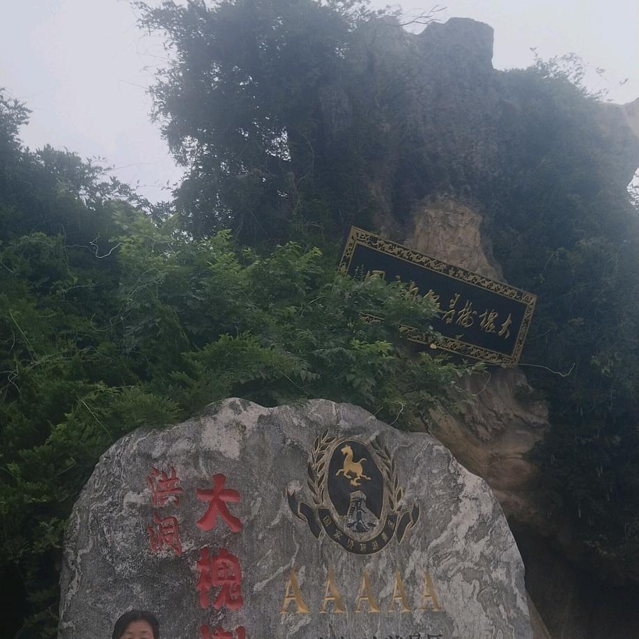 双飞燕