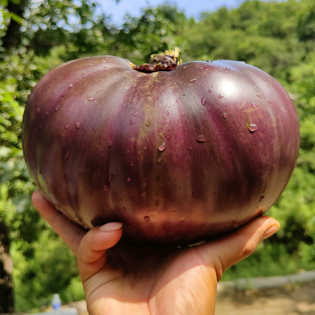 左权县何军种植养殖