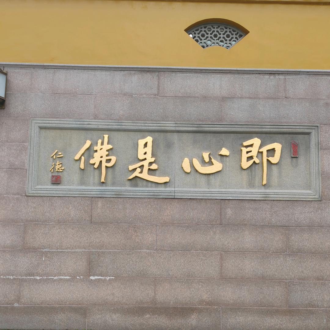 🌸樱晴圆缺