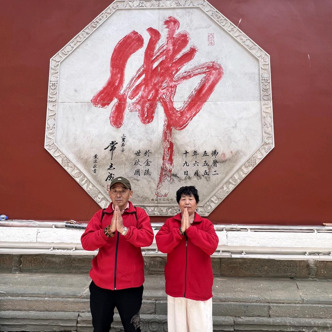 🌸🌸孙姨向阳花🌸🌸