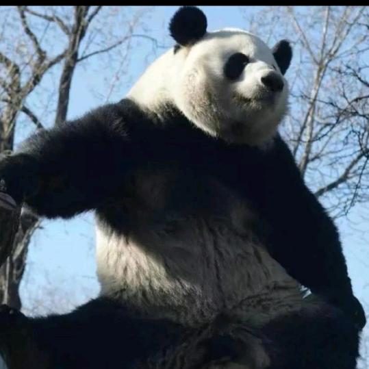 起名废脑子（陪兄弟减脂日常）