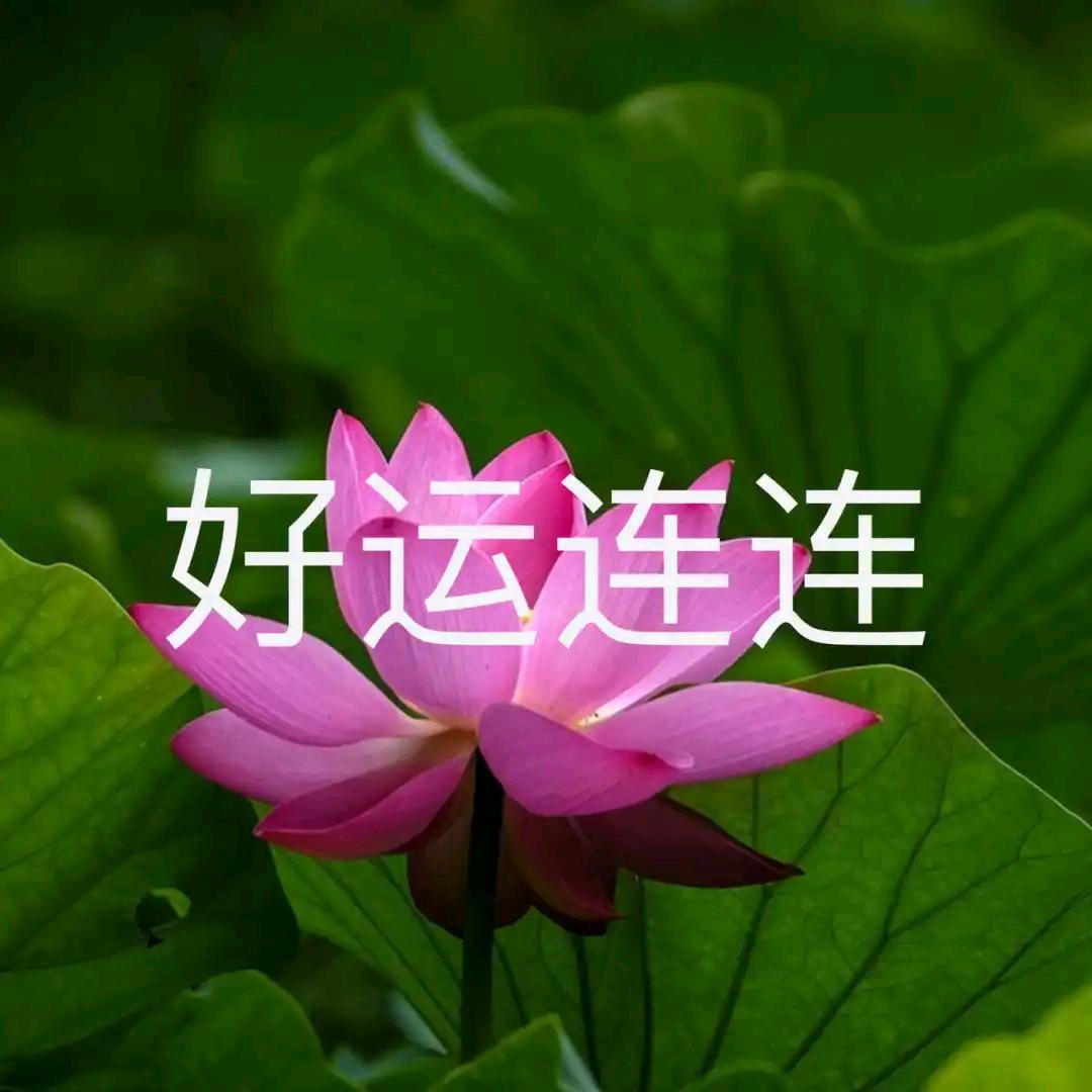 好运连连