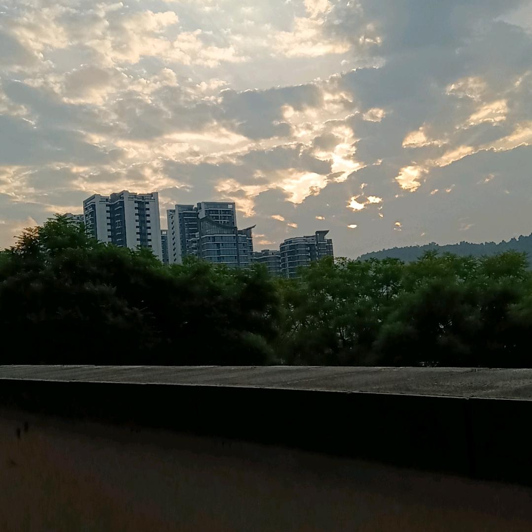 寻找真爱。