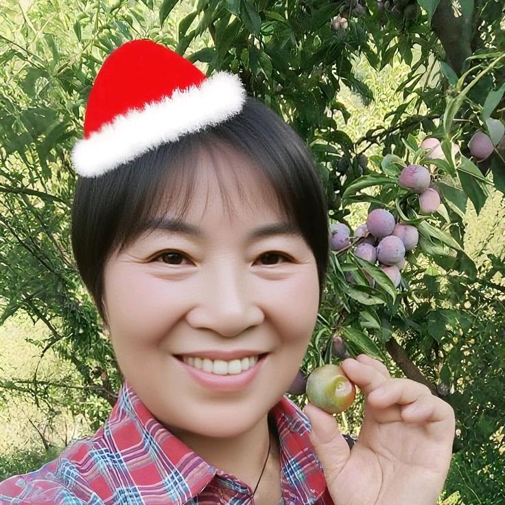 小红帽（有李子）