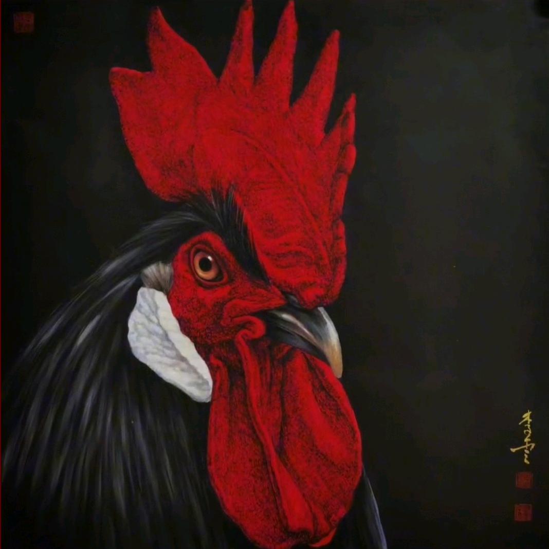锦鲤附体、