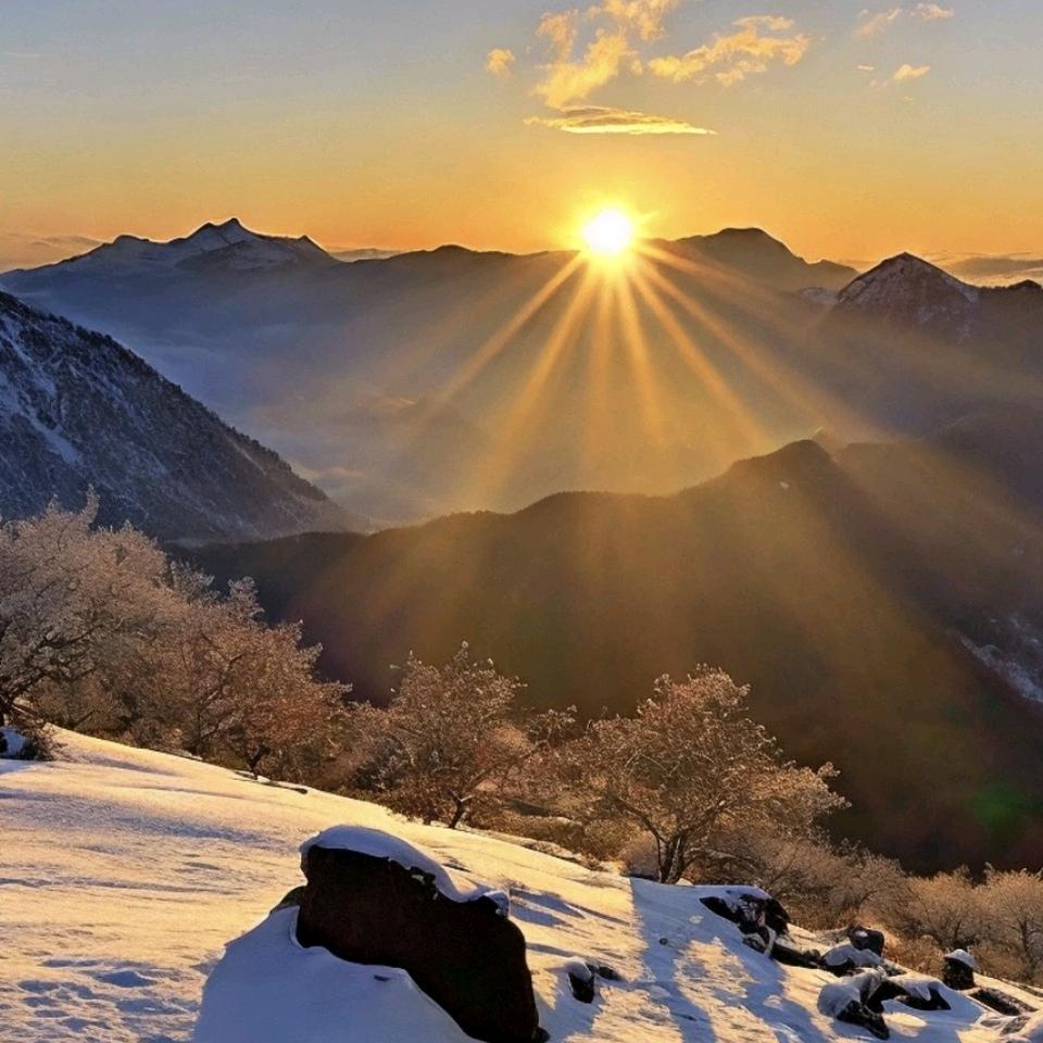 sunshine