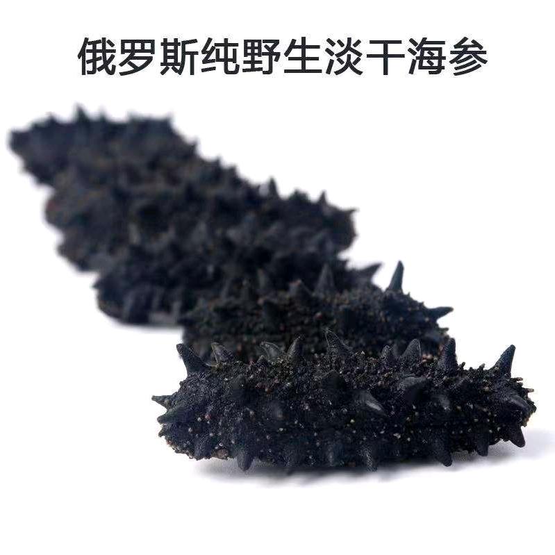 俄罗斯野生海参