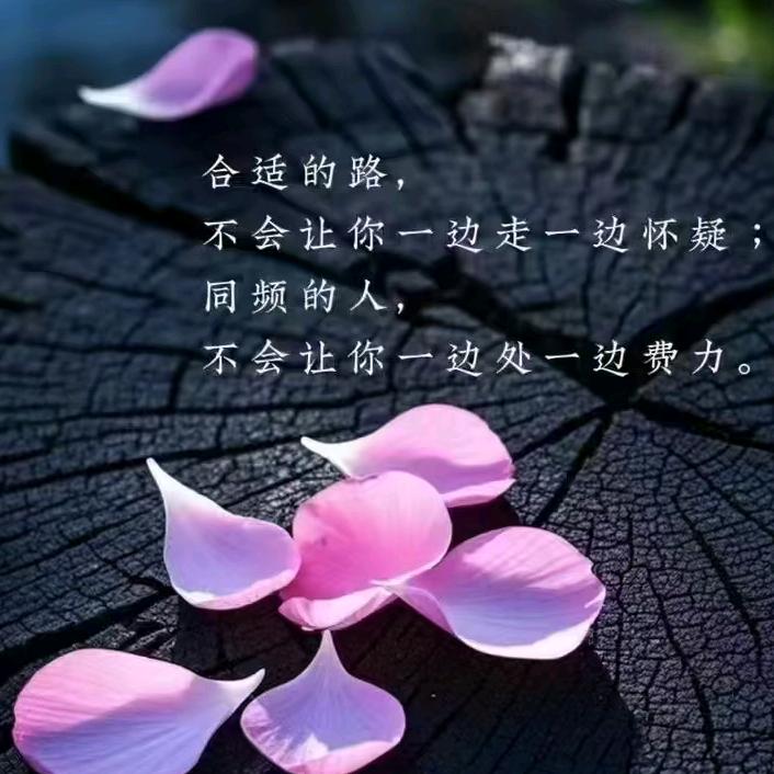 💗阿娜多姿💗