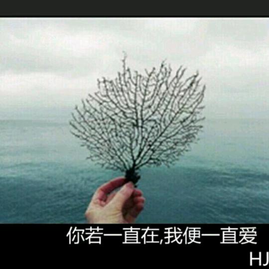 忘了今天过好明天