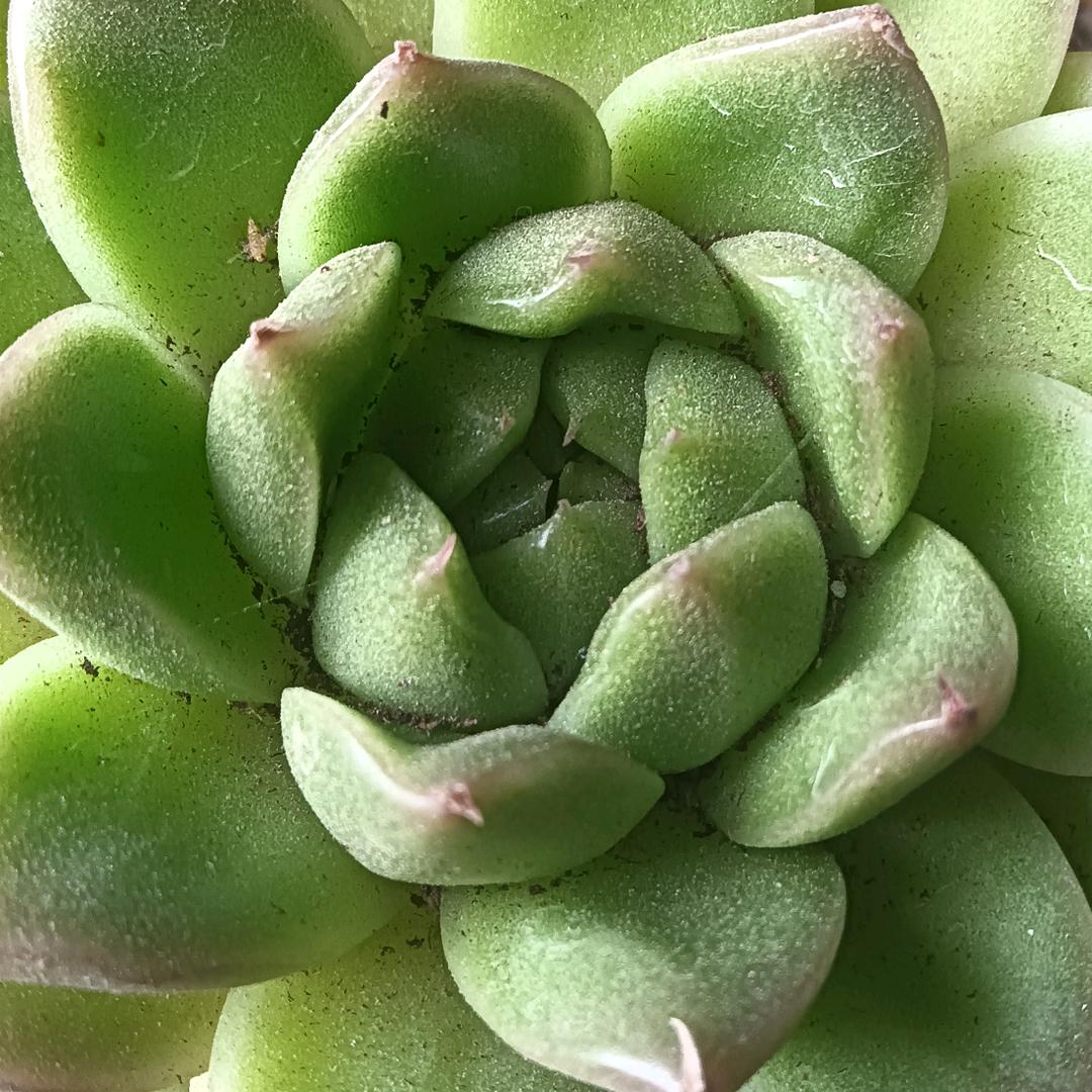 柒   玖