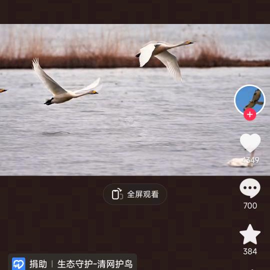 朱保华