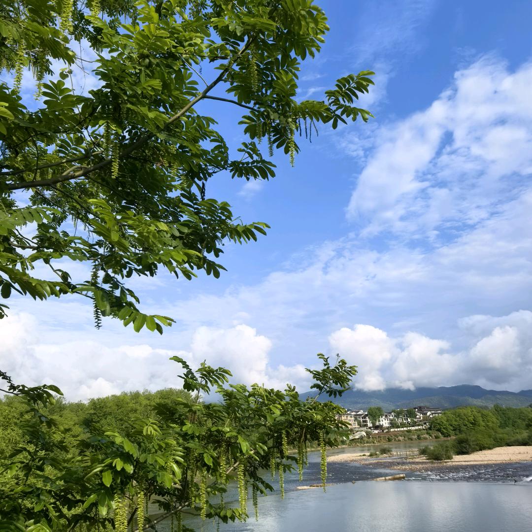 𝔂以飬、  ❦為心