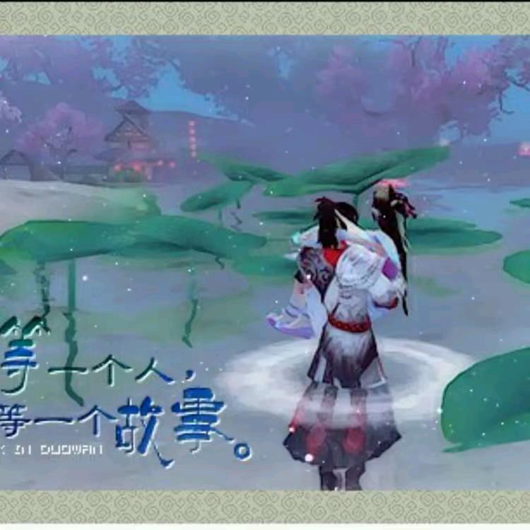 枫