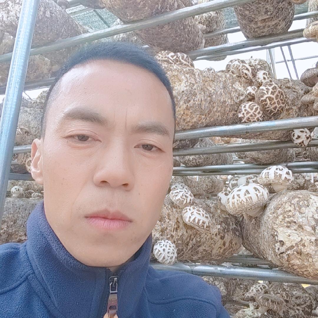 随州关店花菇小强农家坊