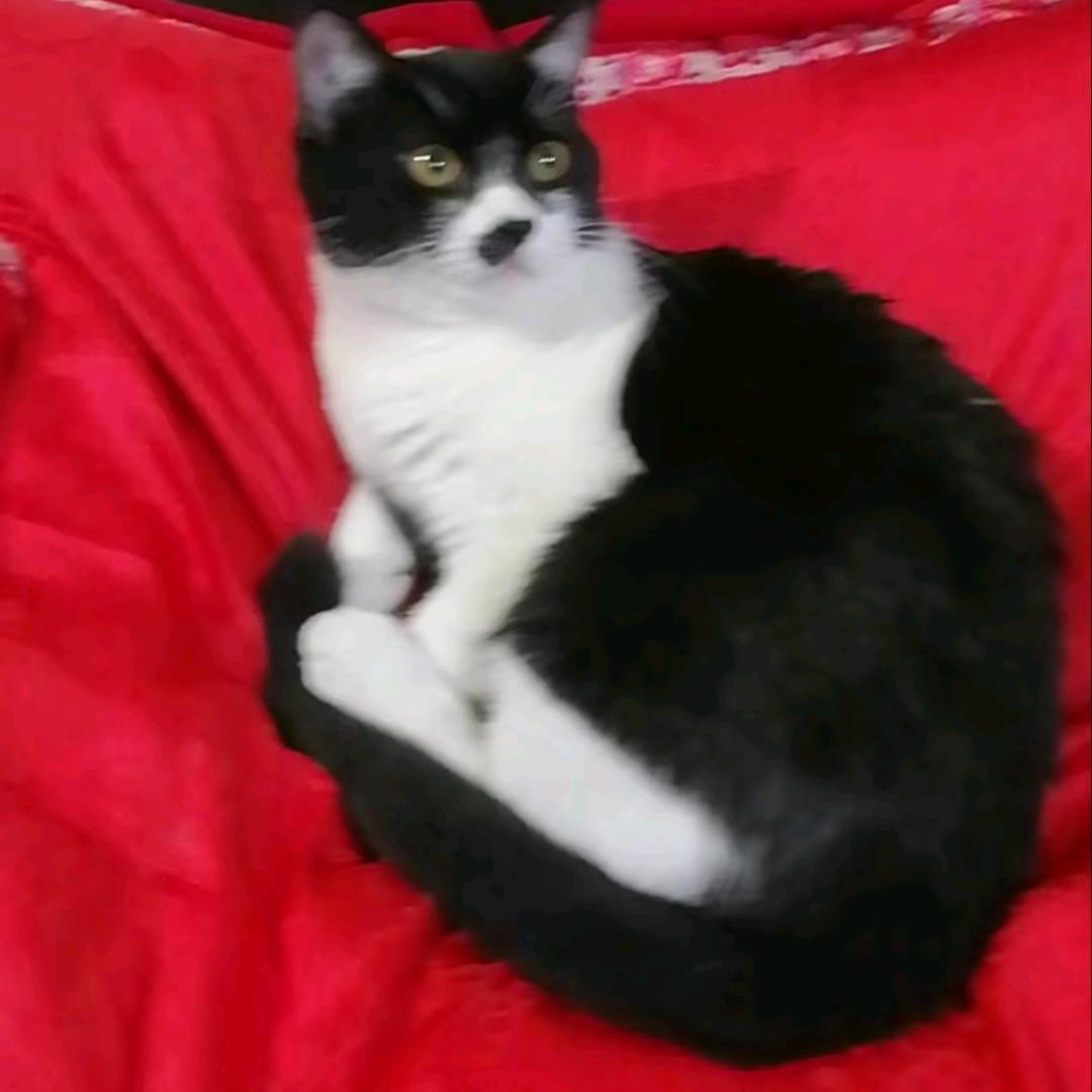 梦想姐好物分享