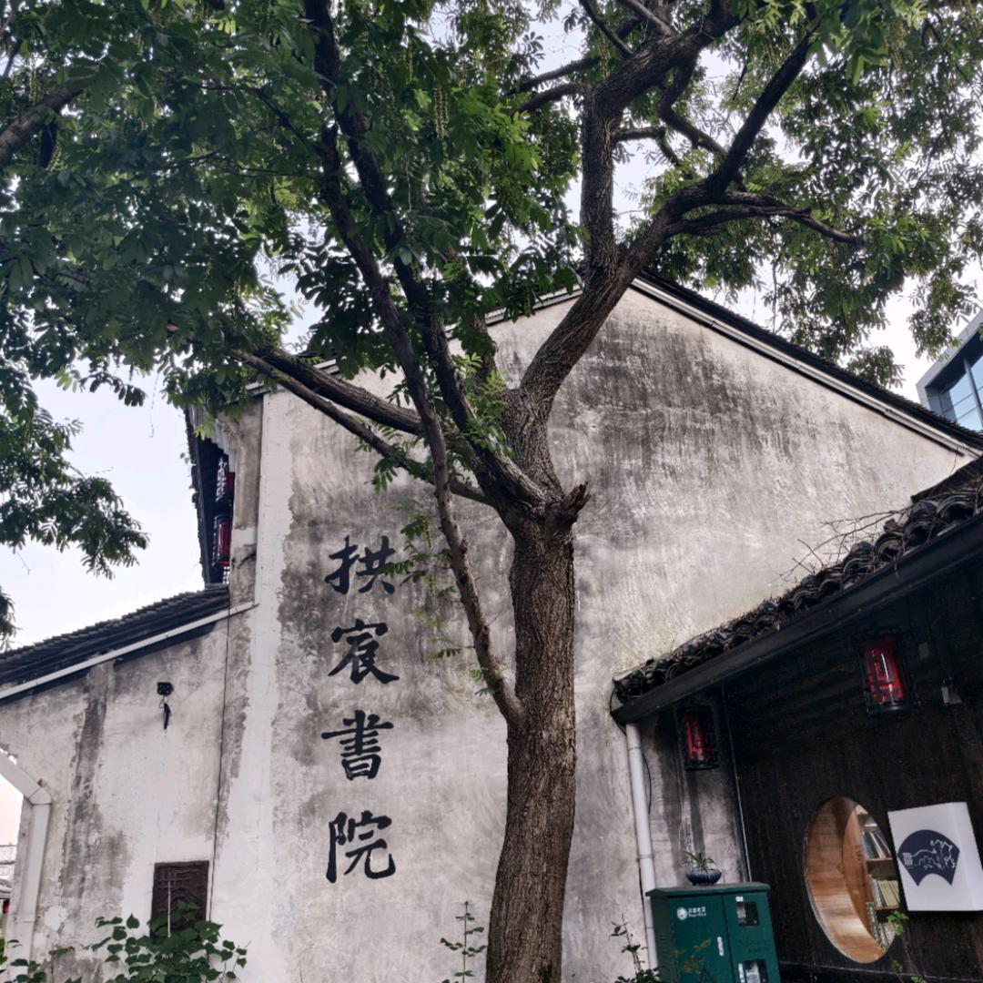 落叶翻飞