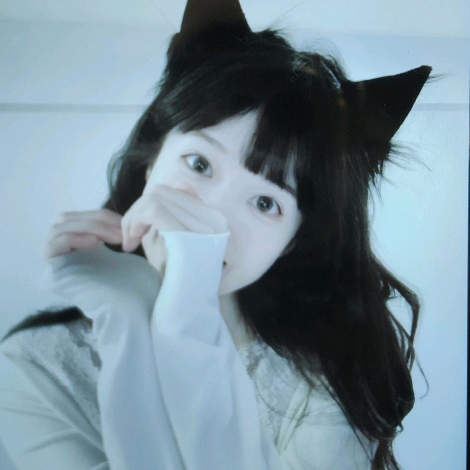 阳阳爱看剧