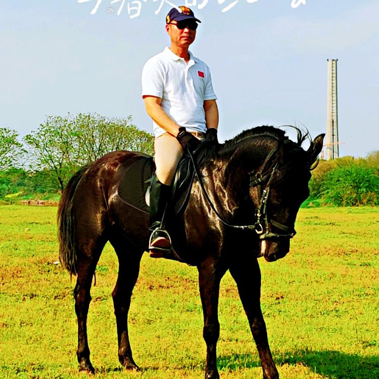 湘潭青少年马术培训