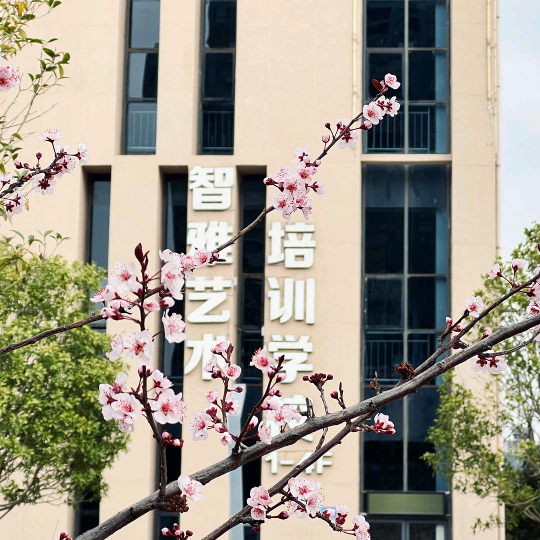 智雅艺术（传媒艺考）
