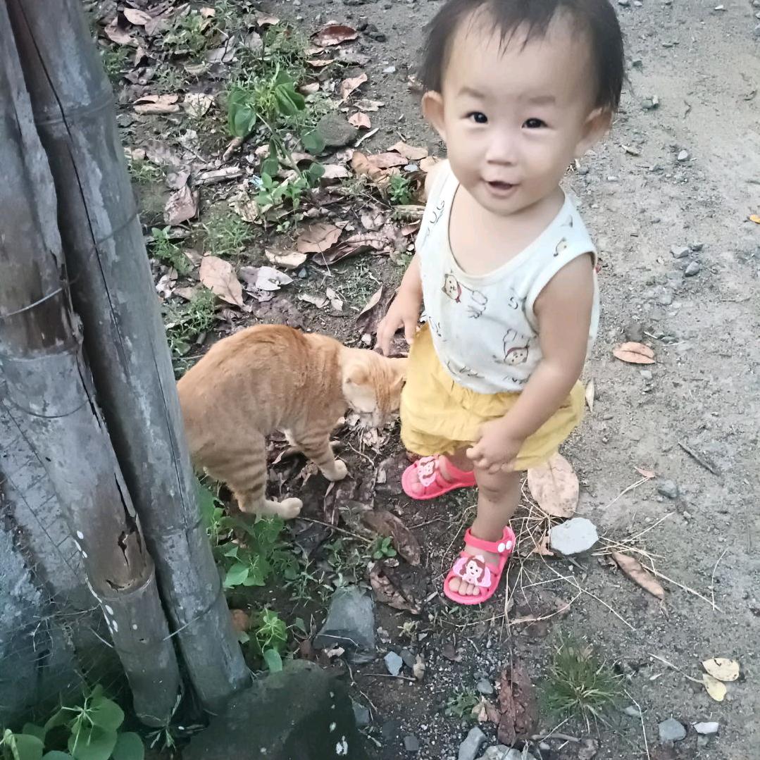 嗯😁
