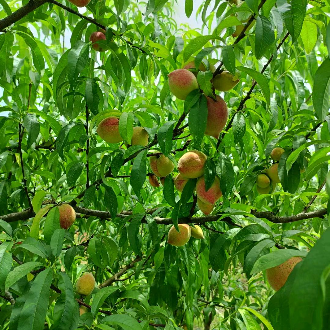 清除记忆重新开始