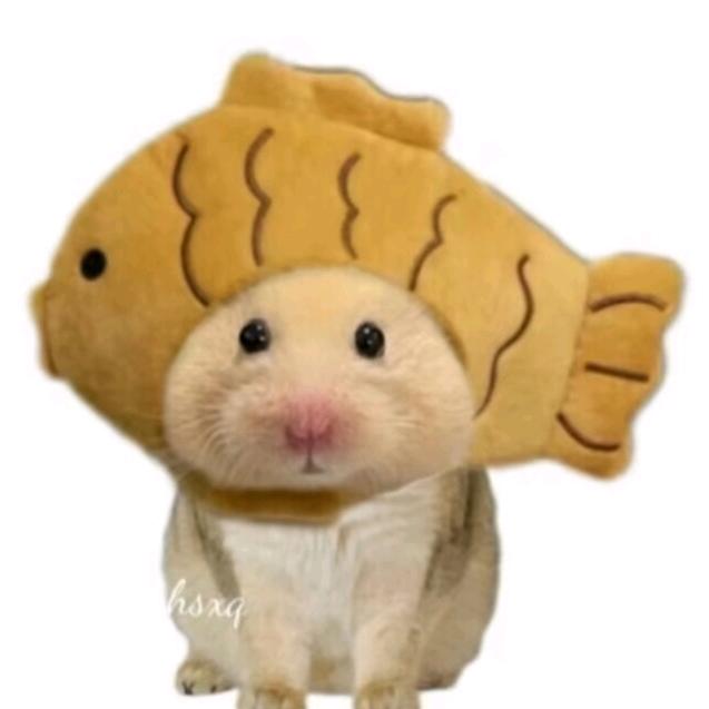 Ak小鱼，。